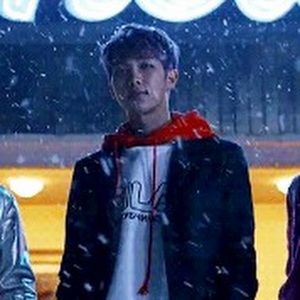 Meet your Posher, Cookie